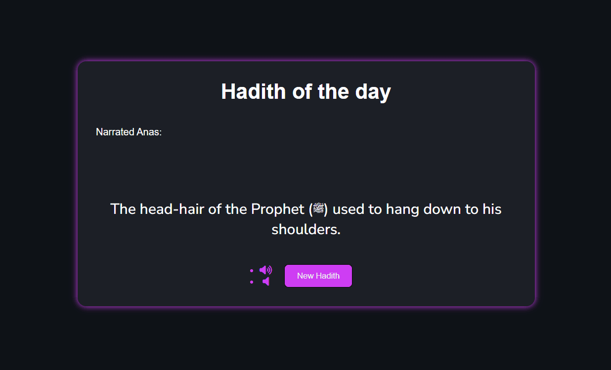 Hadith Generator — project preview